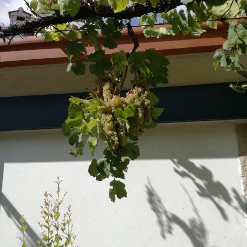Apartamento Casa Na Quinta De Valinhas