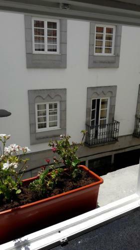 Apartamento Nas Tr�s Janelas