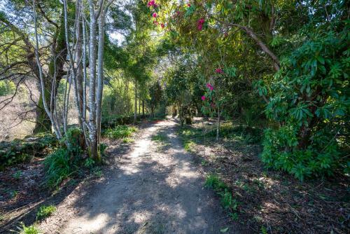 Quinta Das Lamas - Oak Tree House