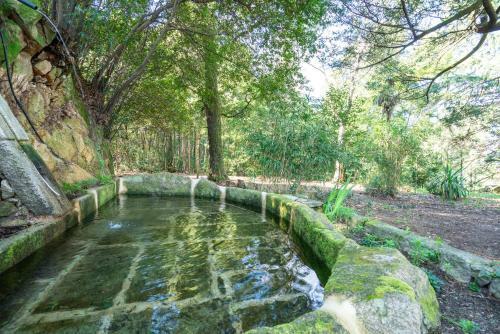 Quinta Das Lamas - Oak Tree House