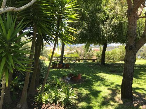 Apartamento Casa No Rio - River House