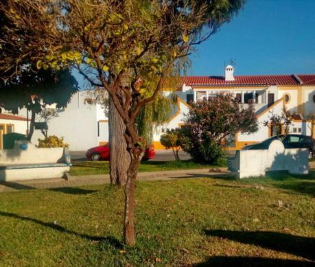 Apartamento Venha E Descanse Ref. 237