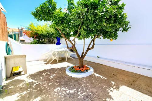 Apartamento Casa Monte Da Rosa