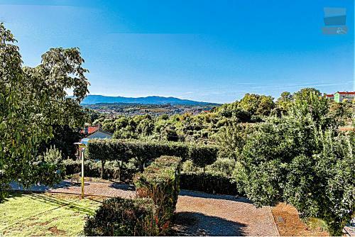 Aluguer De Solar Em Viseu