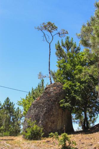 Villa Quinta Das Regueiras
