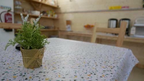 Bed & Breakfast Casa Das Termas