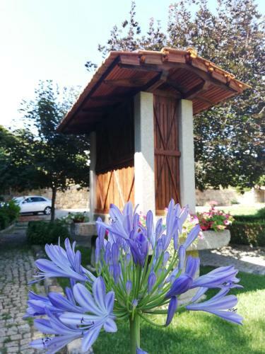 Agroturismo The River House - Termas Guesthouse