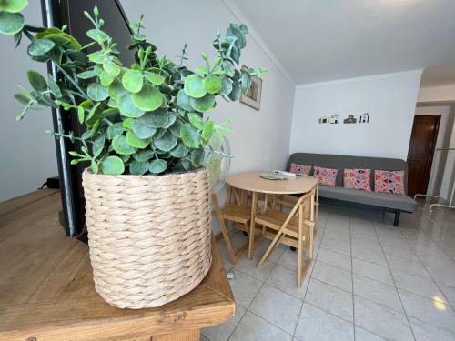 Lagar Apartment - Vila Nova De Cacela