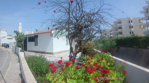 Casa Da Av�