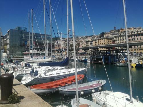 Acquario Apartments