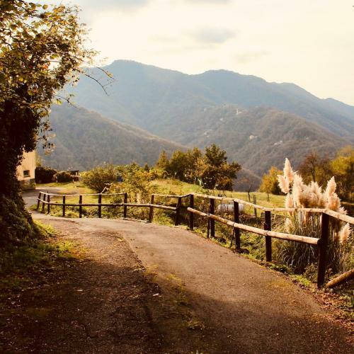 Bed & Breakfast Locanda Del Sale