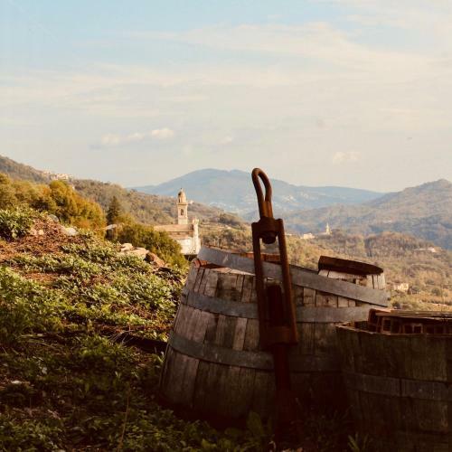 Bed & Breakfast Locanda Del Sale