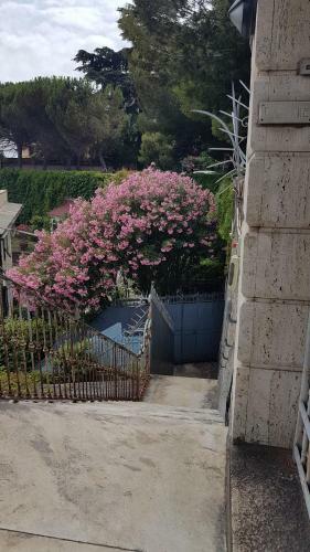Apartamento " La Casa Di Lella "