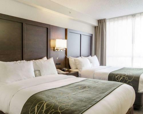 Hotel Comfort Suites - Weston