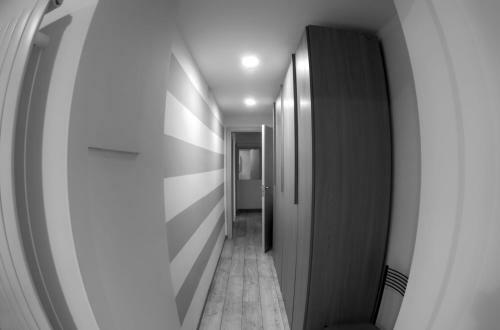 Suite Eleven