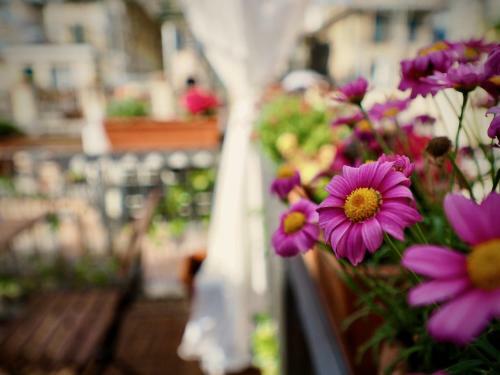Apartamento Dimora Della Galera (Acquario) - Genovabnb It