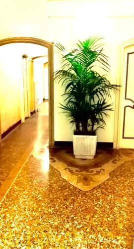 Apartamento Palazzo San Giorgio ( S )
