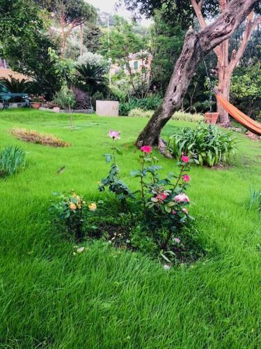 Apartamento Romantic Garden Sea View Nervi