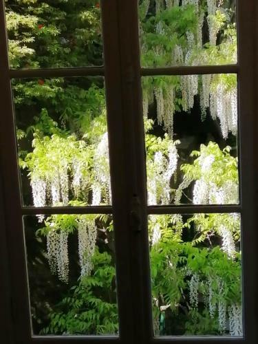 Apartamento Romantic Garden Sea View Nervi