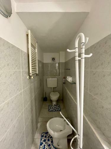 Celeste Apartment