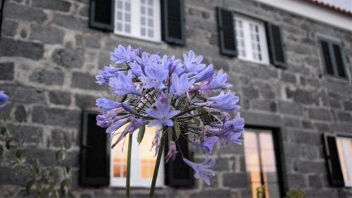 Hostal Belo Campo - Ilha Do Faial (horta)