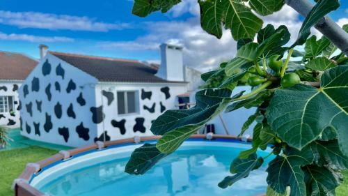 Azores Cow House