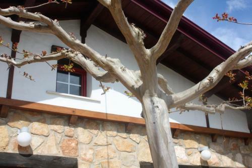 Casa Da Maria Carolina