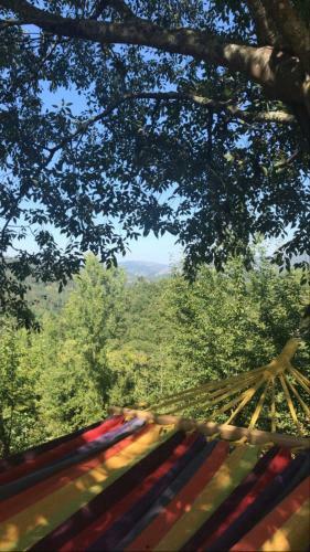 Quinta Do Lad�rio