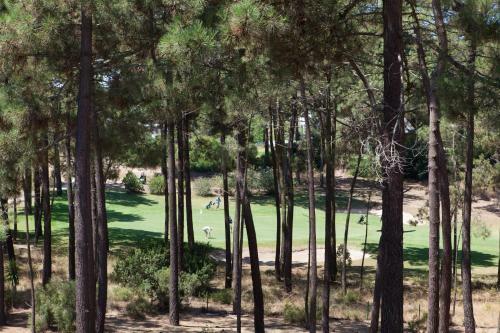 The Golf The Beach And The Unique - Aroeira Apartment