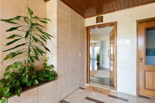 Beach & Sunset - Luxury Apartment