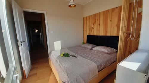 Apartamento Sweet Morro Garden