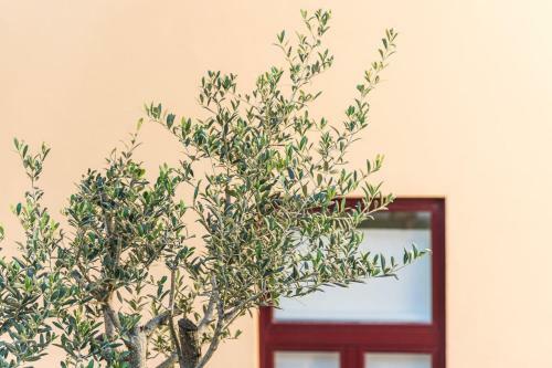 Apartamento Guestready - Easygoing Pool To River