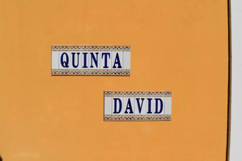 Quinta David