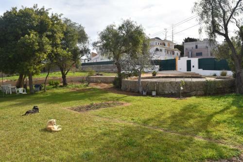 Quinta David