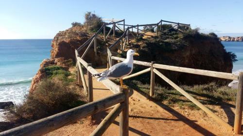 Family Apartment Dunas De Alvor