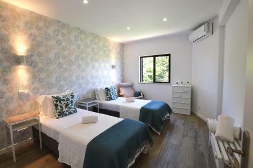 Apartamento Tupi House
