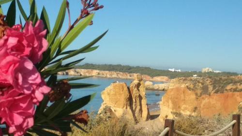 Apartamento Albur Village B - Camomile