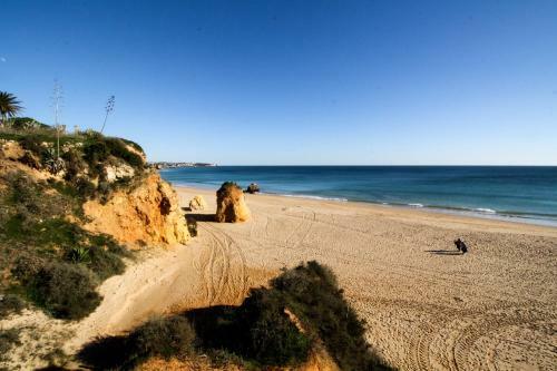 Vau Costa Beach Apartment With Pool!
