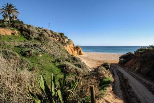 Vau Costa Beach Apartment With Pool!