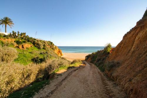 Vau Costa Beach Apartment With Pool!