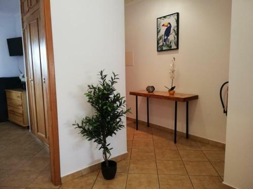 Apartamento Amoreira Alvor - Praia E Piscina