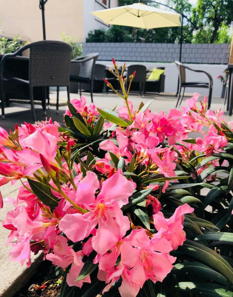 Hotel Creo Munich City