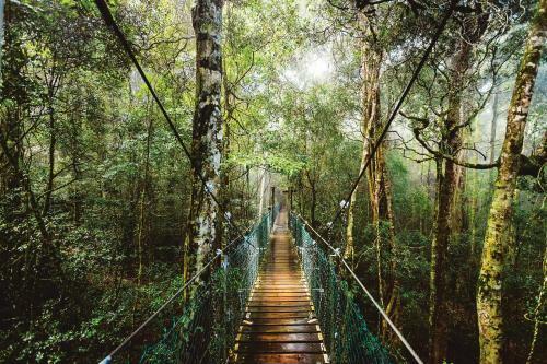 Villa O'reilly's Rainforest Retreat