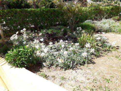 Apartamento T1 Alvor/ Prainha