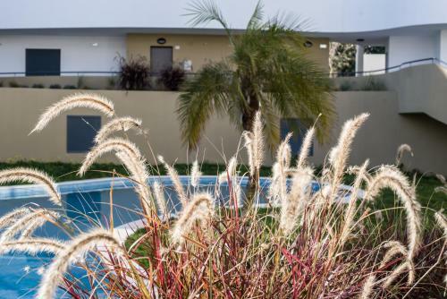 Family Apartments Albur Village II
