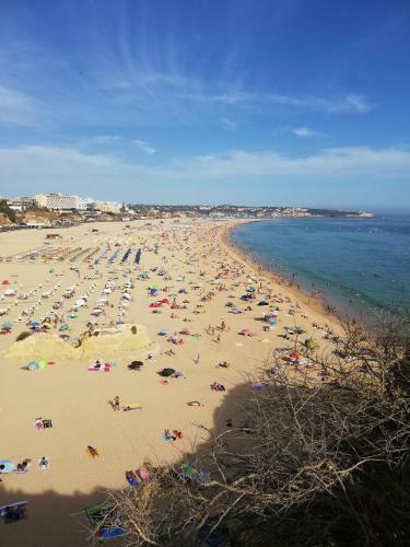 Apartamento Edif�cio Mar E Serra