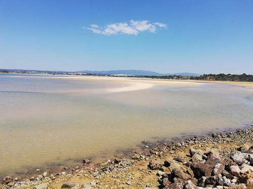 Dunas Mar- Apartamento De F�rias