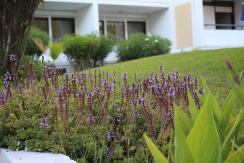 Vilamoura - Apartamento Praia E Golf Pl I