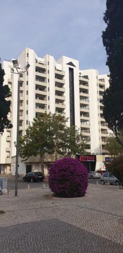 Apartamento T�lia Mar