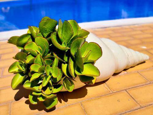 Apartamento Flh Vilamoura Summer Flat With Pool